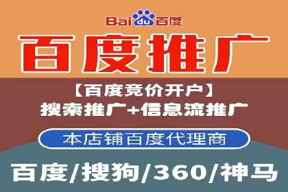 网络推广秘籍：竞价排名成功案例集锦